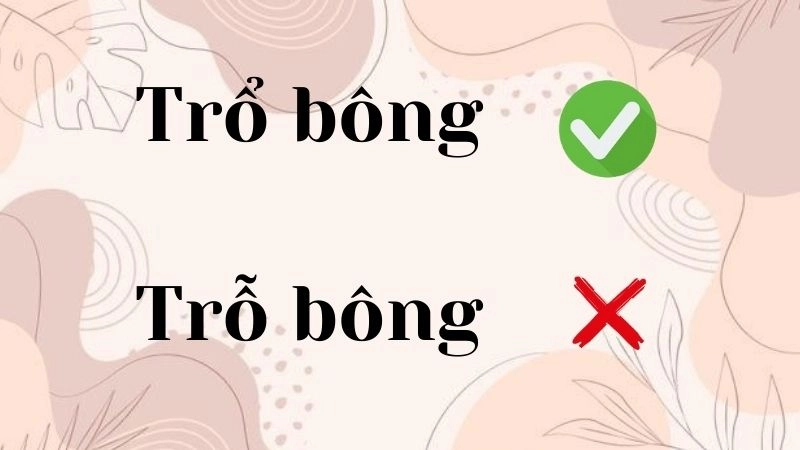 Trổ bông hay trỗ bông đúng chính tả, trổ bông là từ đúng