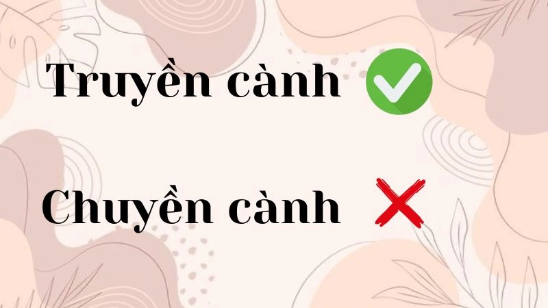 Chuyền cành hay truyền cành đúng chính tả,''truyền cành'' là cách viết đúng trong ngữ cảnh