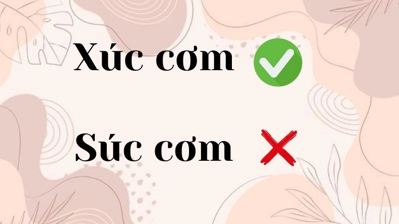 Xúc cơm hay súc cơm đúng chính tả,''xúc cơm'' là cách viết đúng