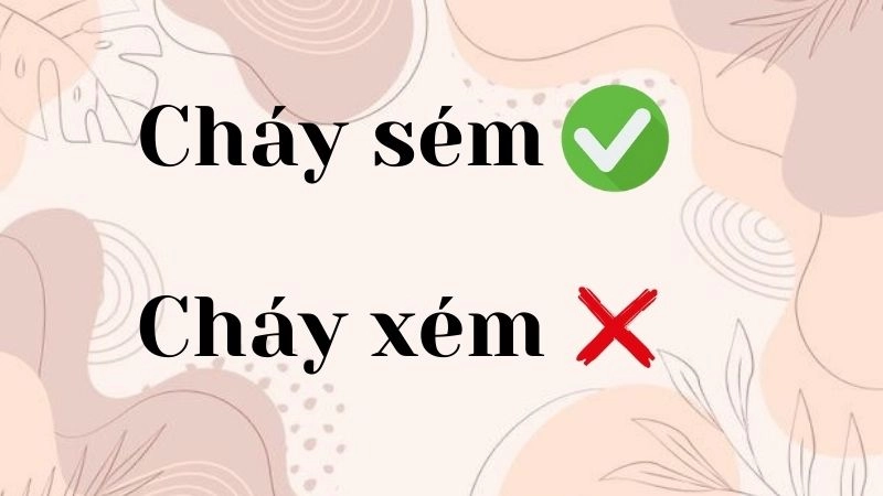 Cháy xém hay cháy sém đúng chính tả, cháy xém là từ đúng