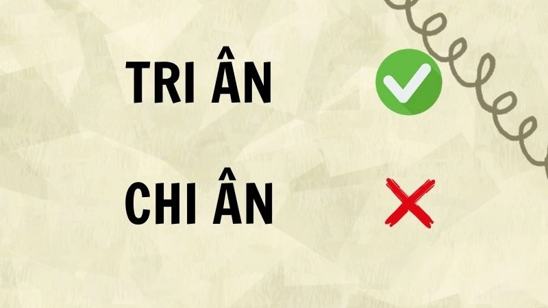 Chi ân hay tri ân đúng chính tả, tri ân là từ đúng