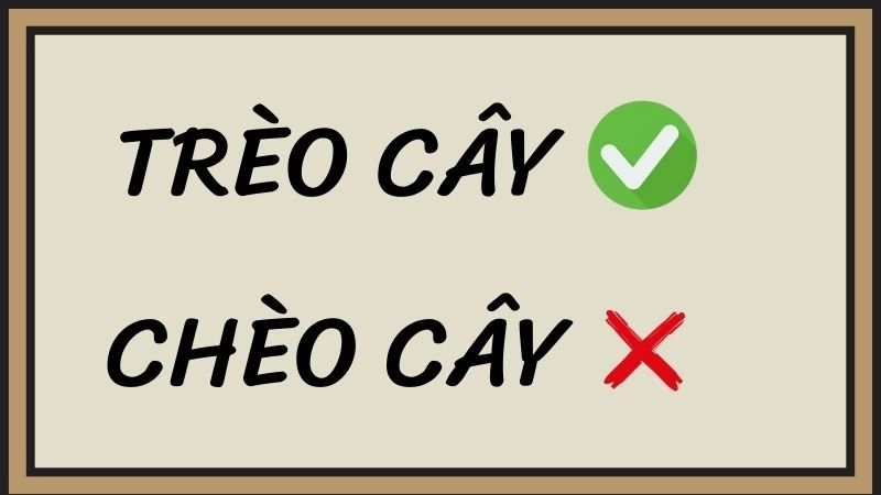 Trèo cây hay chèo cây đúng chính tả, trèo cây là từ đúng