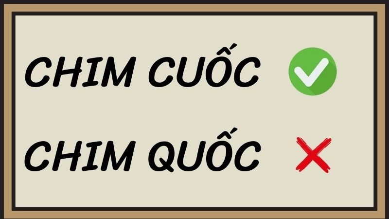 Chim cuốc hay chim quốc đúng chính tả, chim cuốc là từ đúng