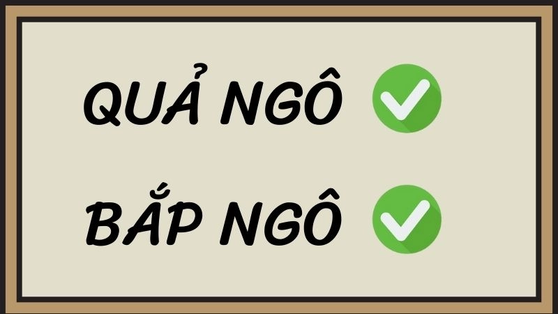 Quả ngô hay bắp ngô đúng chính tả, bắp ngô là từ đúng