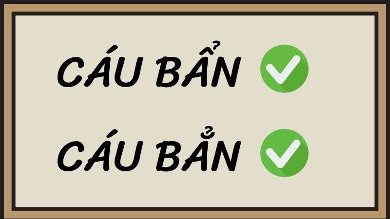 Cáu bẩn hay cáu bẳn đúng chính tả, cáu bẩn là từ đúng