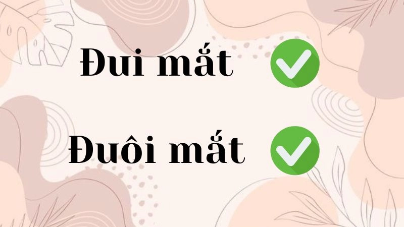 Đui mắt hay đuôi mắt đúng chính tả, đuôi mắt là từ đúng