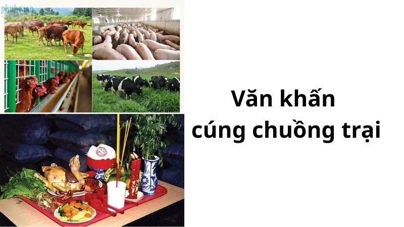 Lễ cúng Ông Chuồng Bà Chuồng còn có tên gọi khác là Tết Trâu