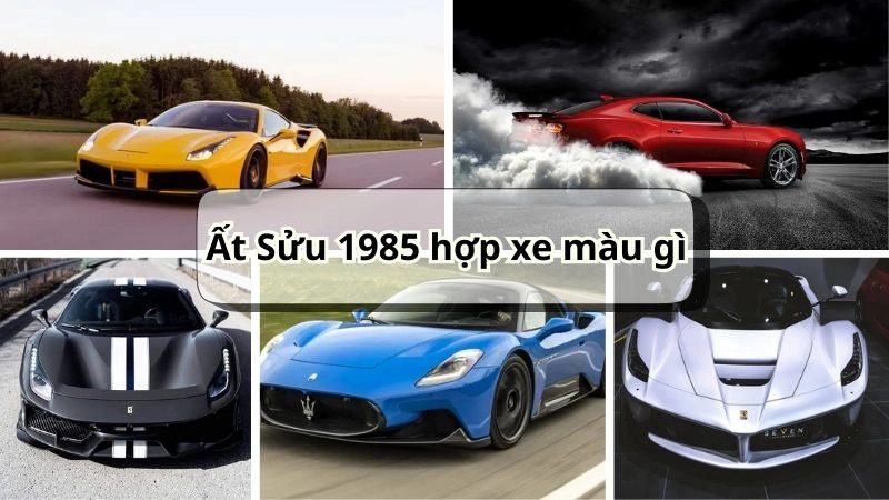Ất Sửu 1985 hợp nhất với các màu trắng, xám, ghi và vàng ánh kim