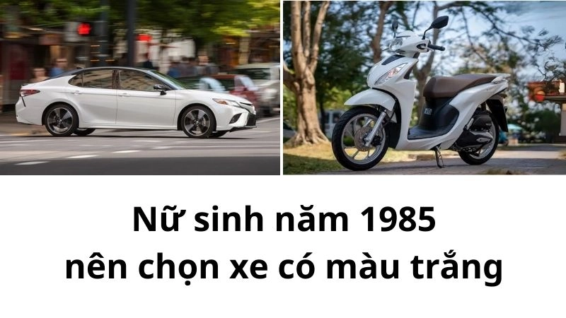 Nữ sinh năm 1985 nên chọn xe có màu trắng
