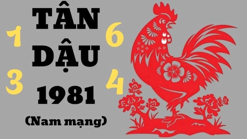 Nam tuổi Tân Dậu hợp nhất với số 1, 3 và 9