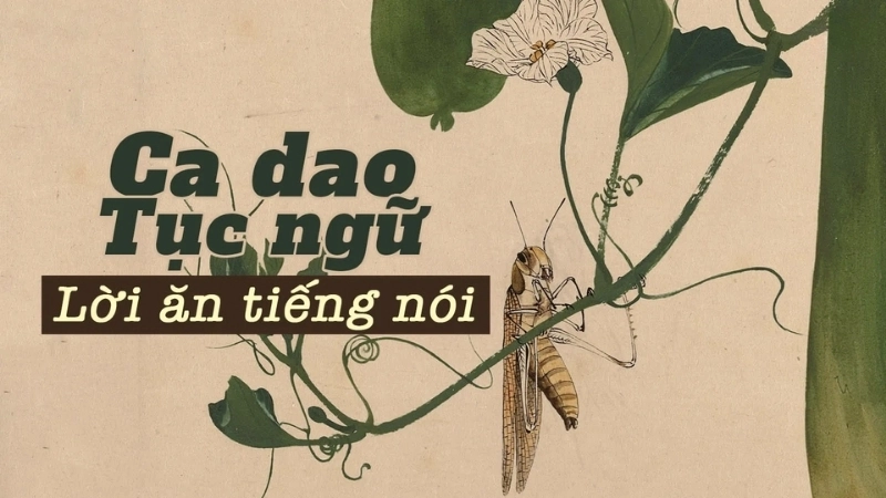 Ca dao tục ngữ về lời nói hay nhất