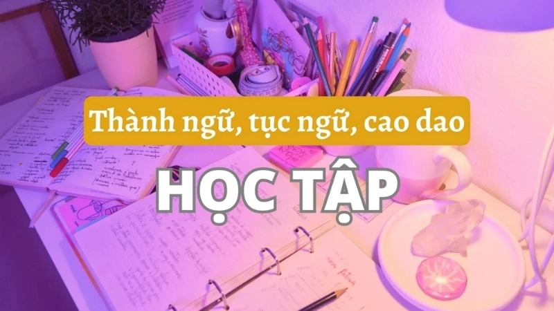 Ca dao tục ngữ về truyền thống hiếu học, các tấm gương