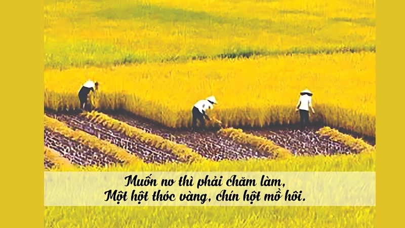 Ca dao lao động gắn liền với thiên nhiên
