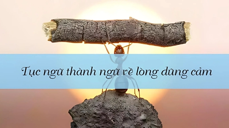 Thành ngữ nói về lòng dũng cảm
