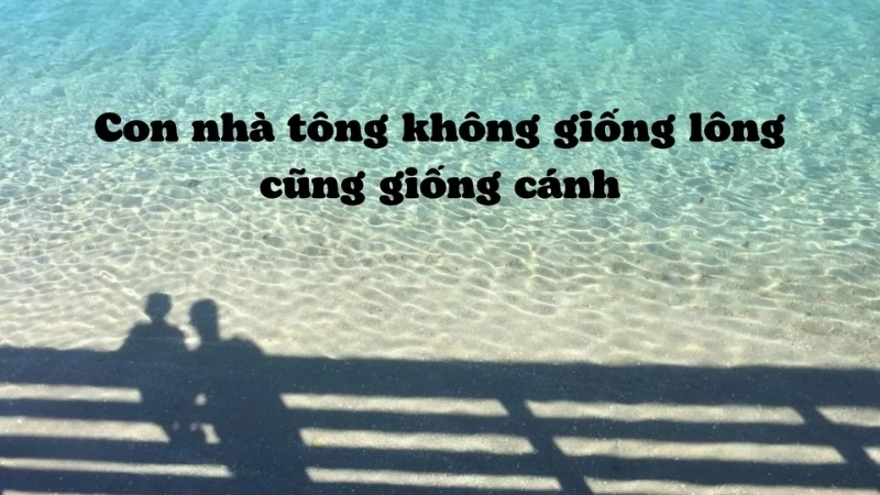 Liệu có trường hợp ngoại lệ không?