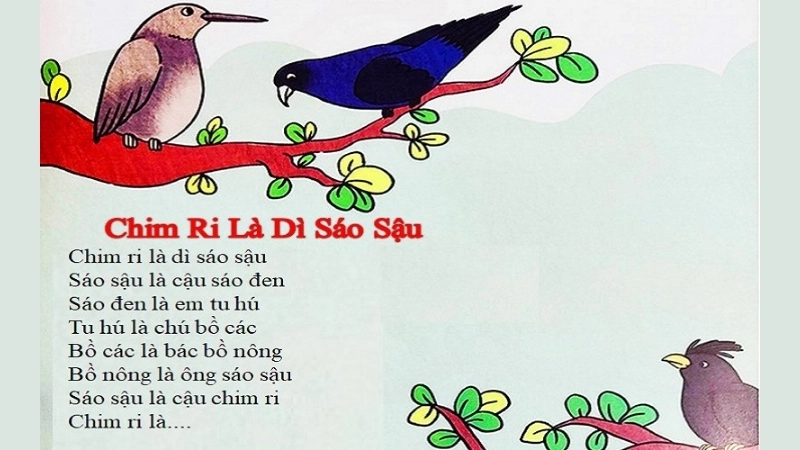 Đồng dao Chim ri là dì sáo sậu