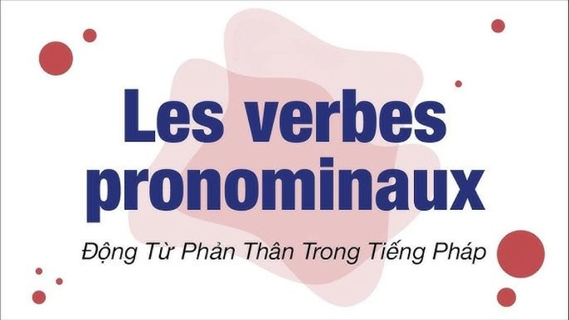Tổng hợp động từ phản thân tiếng Pháp thường gặp