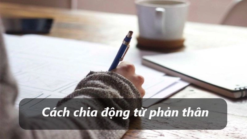Cách chia động từ phản thân tiếng Pháp