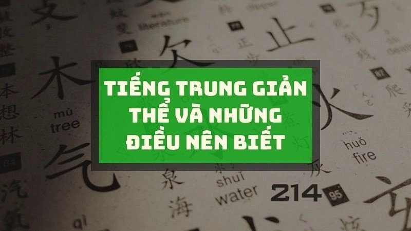 Tiếng Trung Giản thể như một làn sóng mới, thu hút người học Tiếng Trung trên toàn thế giới
