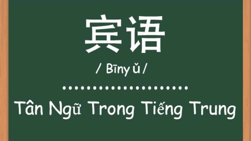 Tân ngữ là thành phần câu chỉ đối tượng mà động từ tác động đến