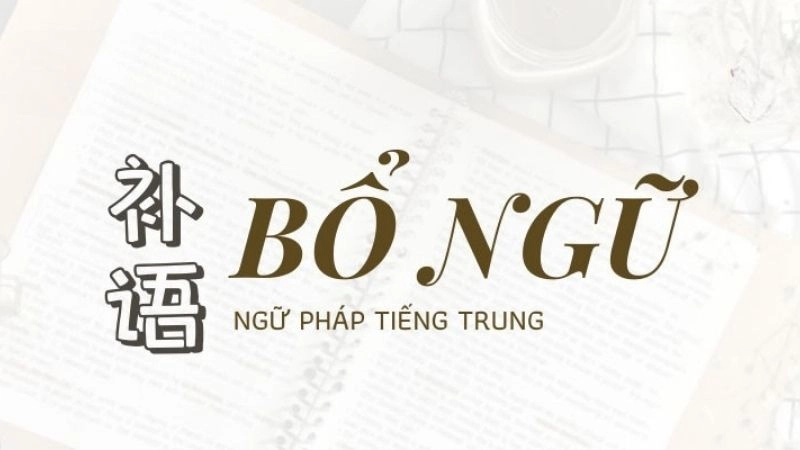 bổ ngữ trong tiếng Trung là thành phần đứng sau động từ hoặc tính từ