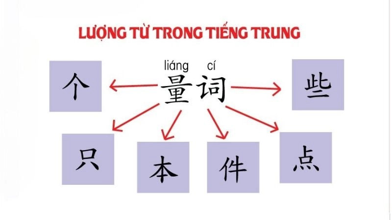 cấu trúc chung của lượng từ là: Số từ + Lượng từ + Danh từ
