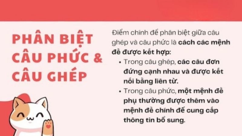 Hướng dẫn phân biệt câu phức và câu ghép trong tiếng Việt