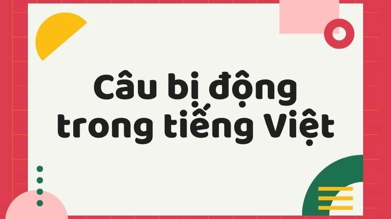 câu bị động Tiếng Việt là dạng câu có chủ ngữ chỉ người hoặc vật được hoạt động của người hoặc vật khác hướng vào