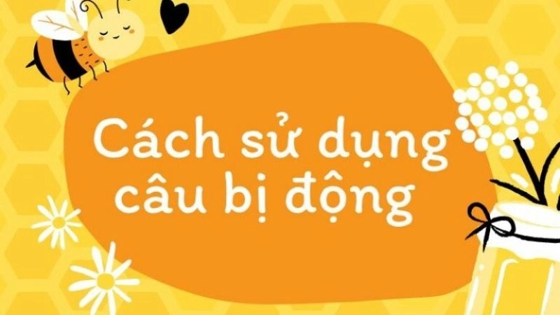 Cách sử dụng câu bị động trong Tiếng Việt