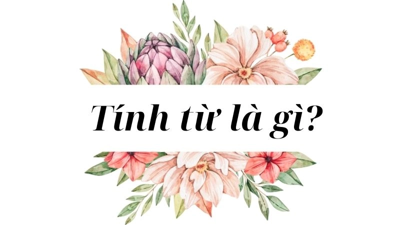 Tính từ trong tiếng Việt là gì? Được biết đây là một từ loại có vai trò quan trọng trong việc diễn tả các đặc điểm, tính chất và trạng thái