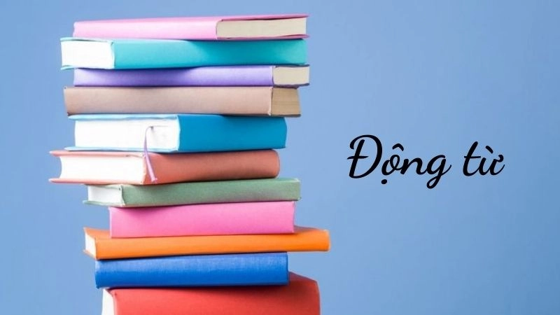 Động từ là những từ dùng để chỉ hoạt động, hành động hoặc trạng thái