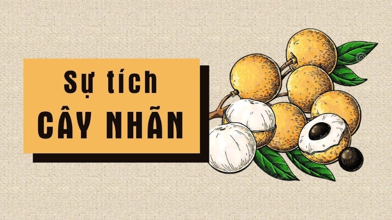Tóm lược truyện cổ Sự tích cây nhãn ý nghĩa nhân văn