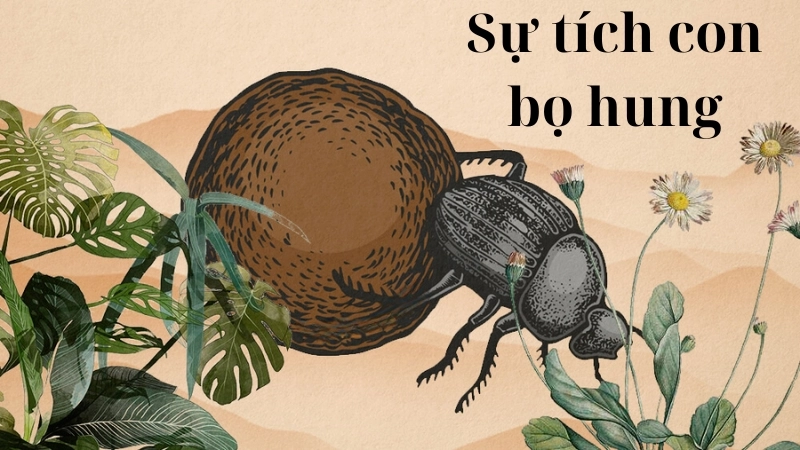 Tóm tắt truyện cổ tích Việt Nam - Sự tích con bọ hung