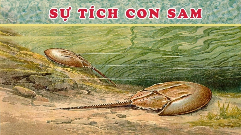 Tóm tắt truyện cổ tích Việt Nam: Sự tích con Sam hay