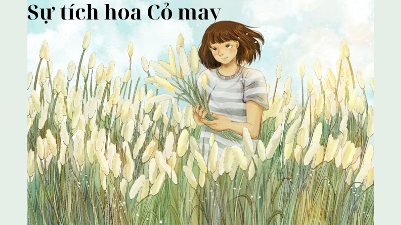 Tóm tắt truyện cổ tích Việt Nam - Sự tích hoa Cỏ may