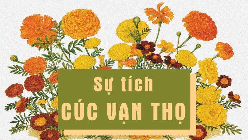 Tóm tắt truyện cổ tích Việt Nam – Sự tích hoa Cúc vạn thọ