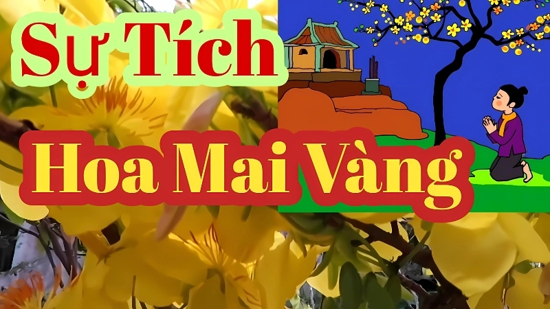 Tóm tắt truyện cổ tích Việt Nam - Sự tích hoa Mai vàng