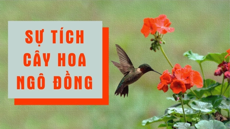 Tóm tắt truyện cổ tích Việt Nam - Sự tích hoa ngô đồng
