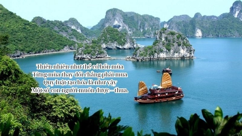 thơ tự do về cha vô cùng ý nghĩa, xúc động