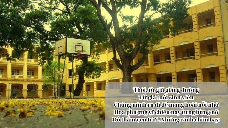 thơ về trường chứa đựng nhiều cung bậc cảm xúc