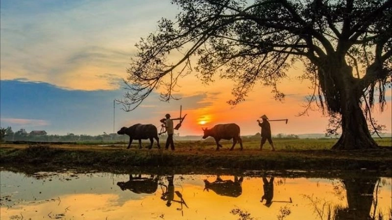 thơ lục bát hay về quê hương được nhiều tác giả lựa chọn để sáng tác.