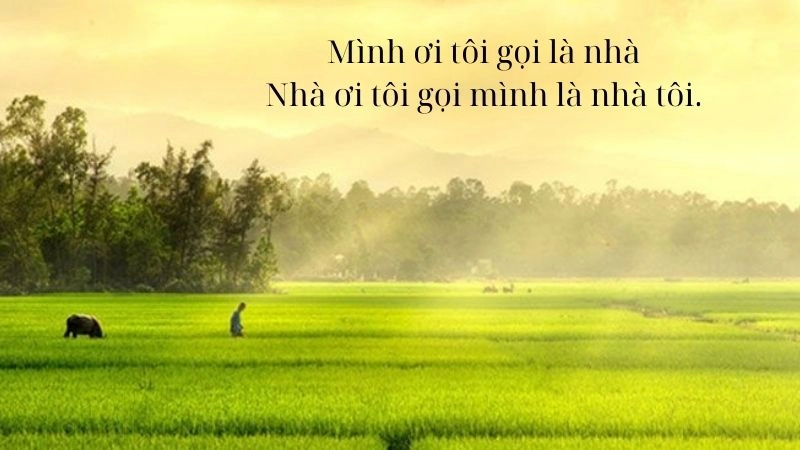thơ lục bát hay 2 câu là các câu thơ ngắn gọn, súc tích nhưng thể hiện đầy đủ tình cảm và tâm tư