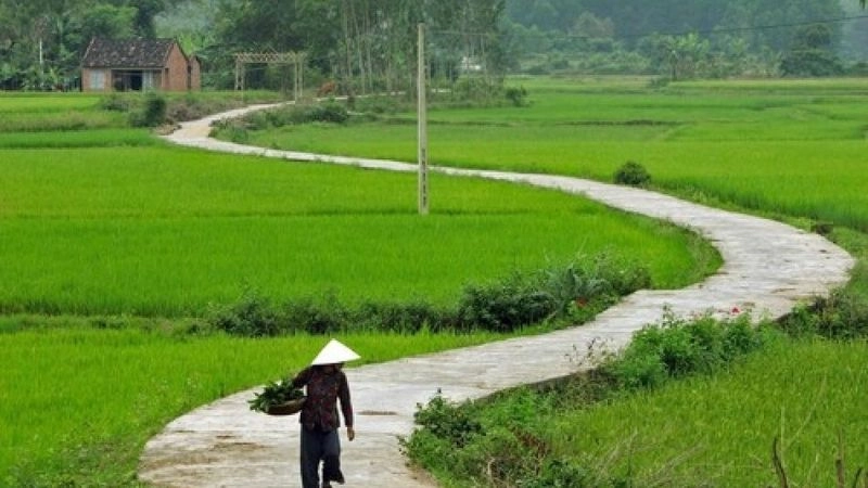 Thơ bảy chữ về quê hương chứa đựng nhiều kỷ niệm