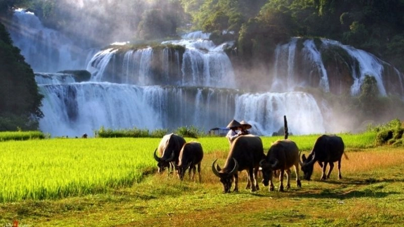 Thơ 6 chữ hay về quê hương rất nhiều thi nhân lựa chọn