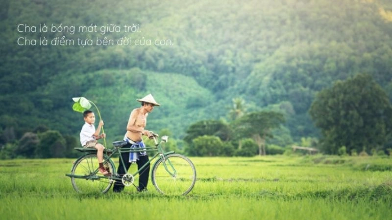 Tổng hợp bài thơ 5 chữ về cha dưới đây đầy cảm xúc, ý nghĩa