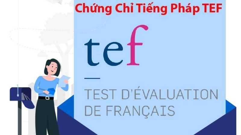 TEF (Test d’Évaluation de Français) do tổ chức uy tín Phòng Thương mại và Công nghiệp Paris (CCIP) tổ chức thi và cấp phép