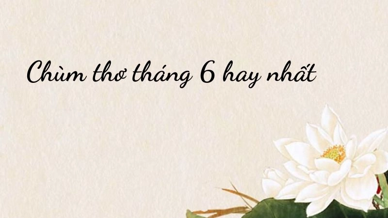  những bài thơ tháng 6 xuất sắc nhất giúp bạn chìm đắm trong ánh nắng rạng rỡ 