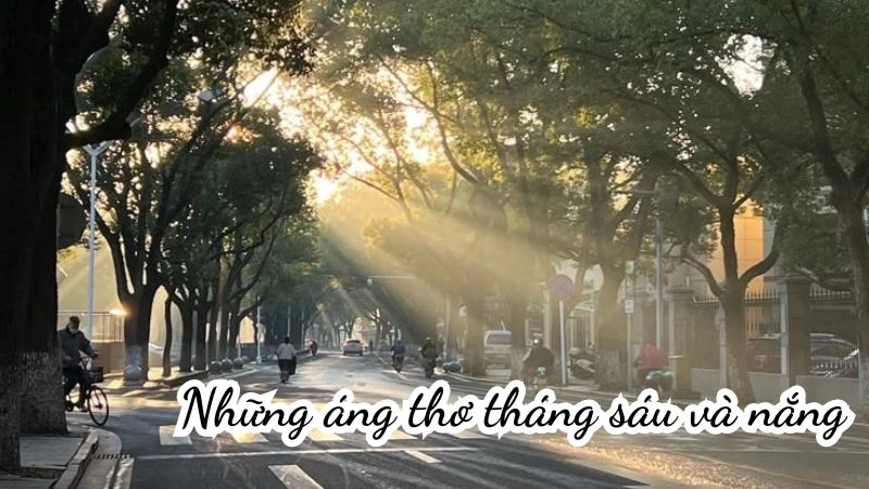 thơ về tháng 6 và nắng khơi gợi lại chút rung động, chút yêu thương