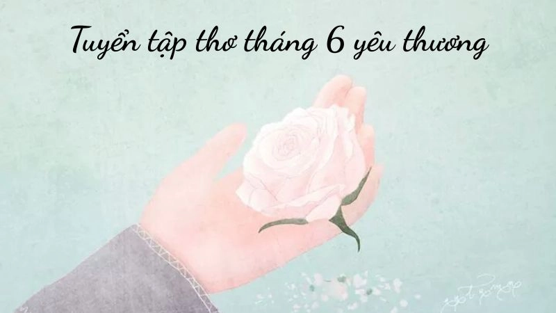 Những bài thơ tháng 6 yêu thương đưa bạn lạc vào miền kí ức 