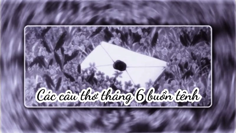 thơ tháng 6 tình yêu buồn khiến người đọc phải thổn thức
